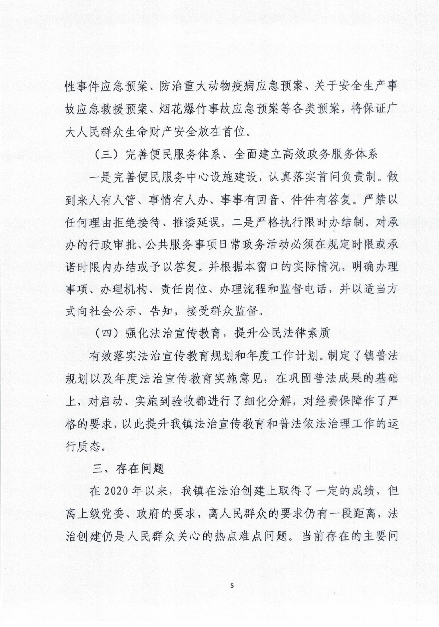 大安鎮(zhèn)人民政府2020年度法治政府建設年度報告_04.png