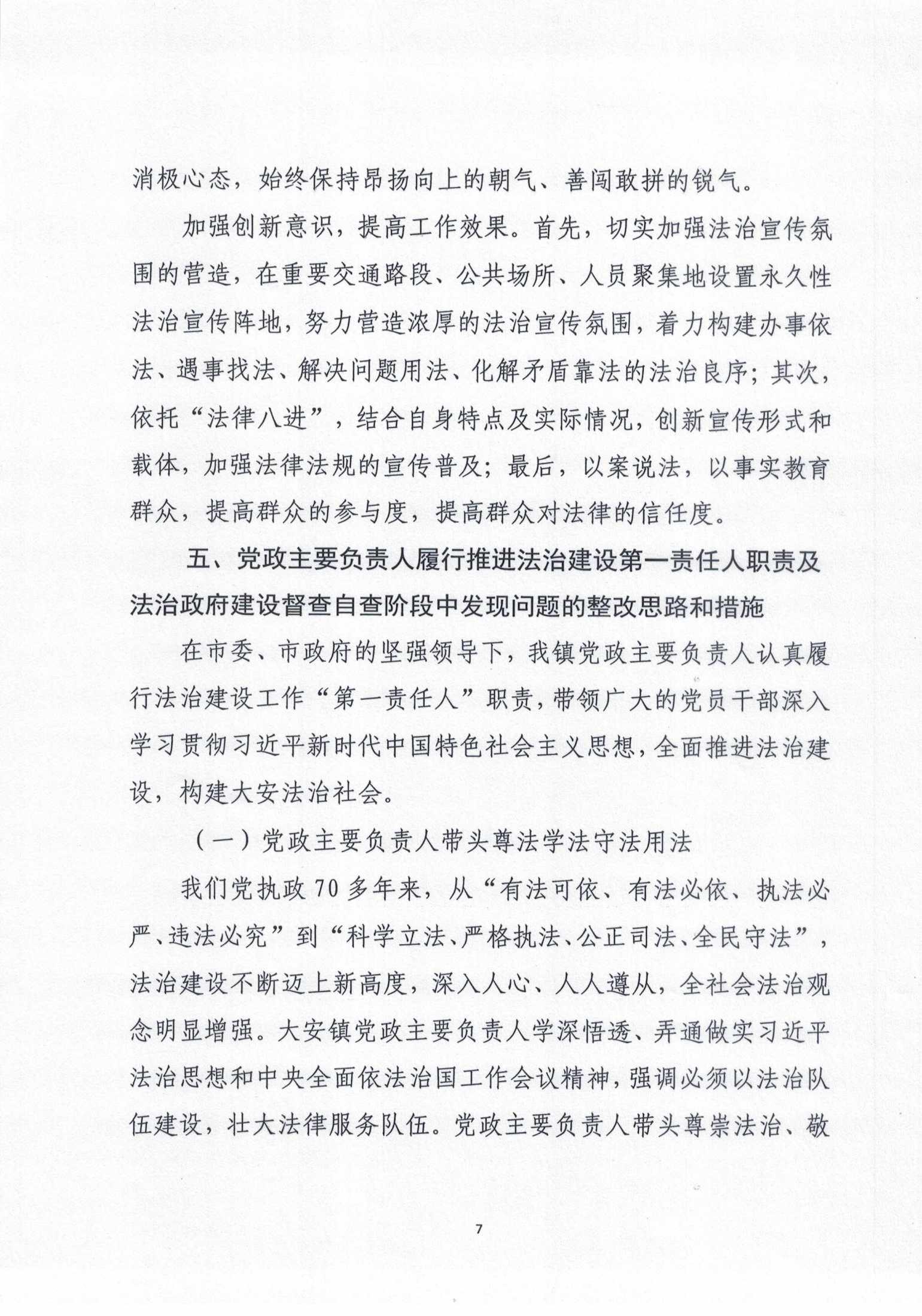 大安鎮(zhèn)人民政府2020年度法治政府建設年度報告_06.png