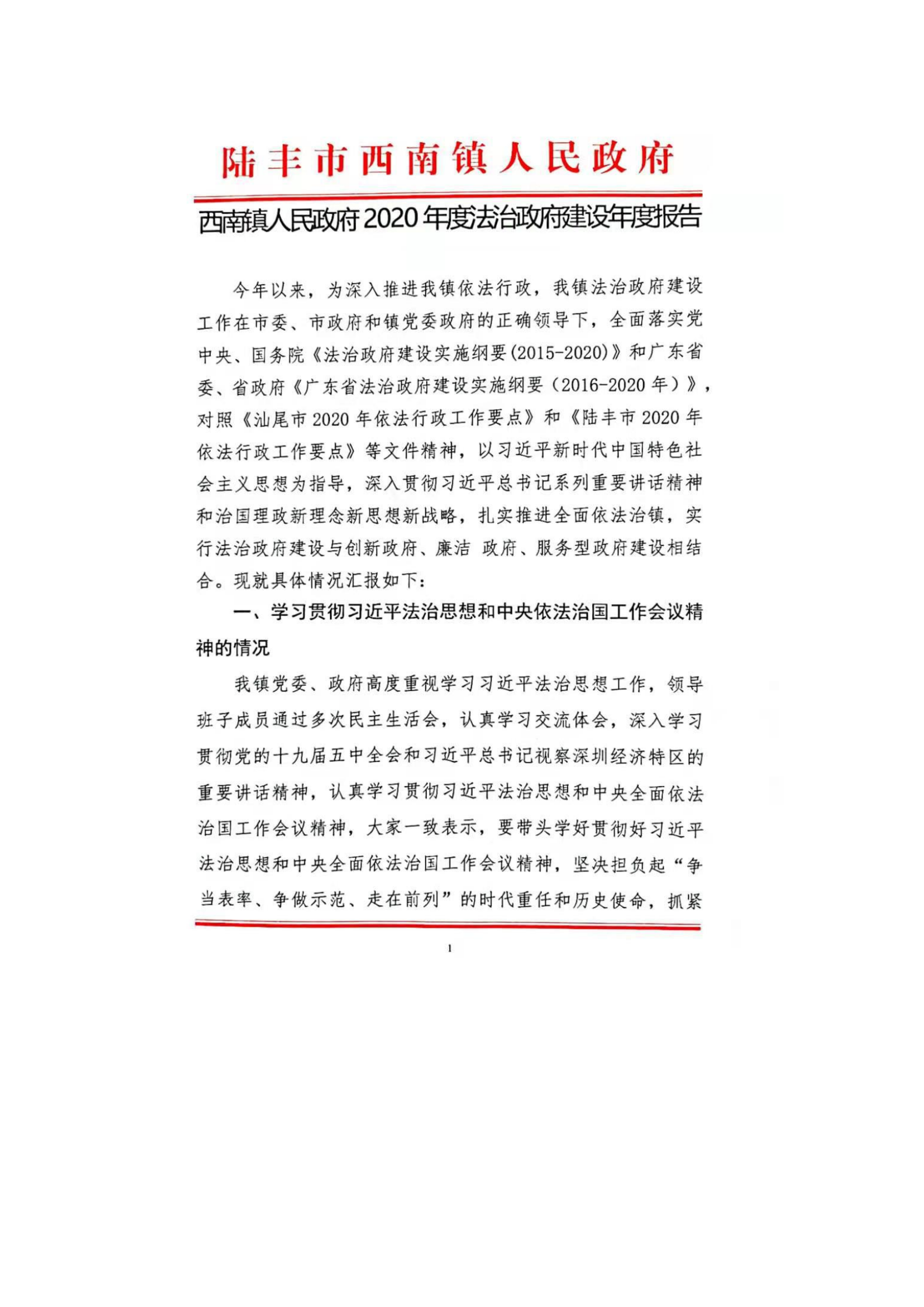 西南鎮(zhèn)人民政府2020年度法治政府建設(shè)年度報告_00.png