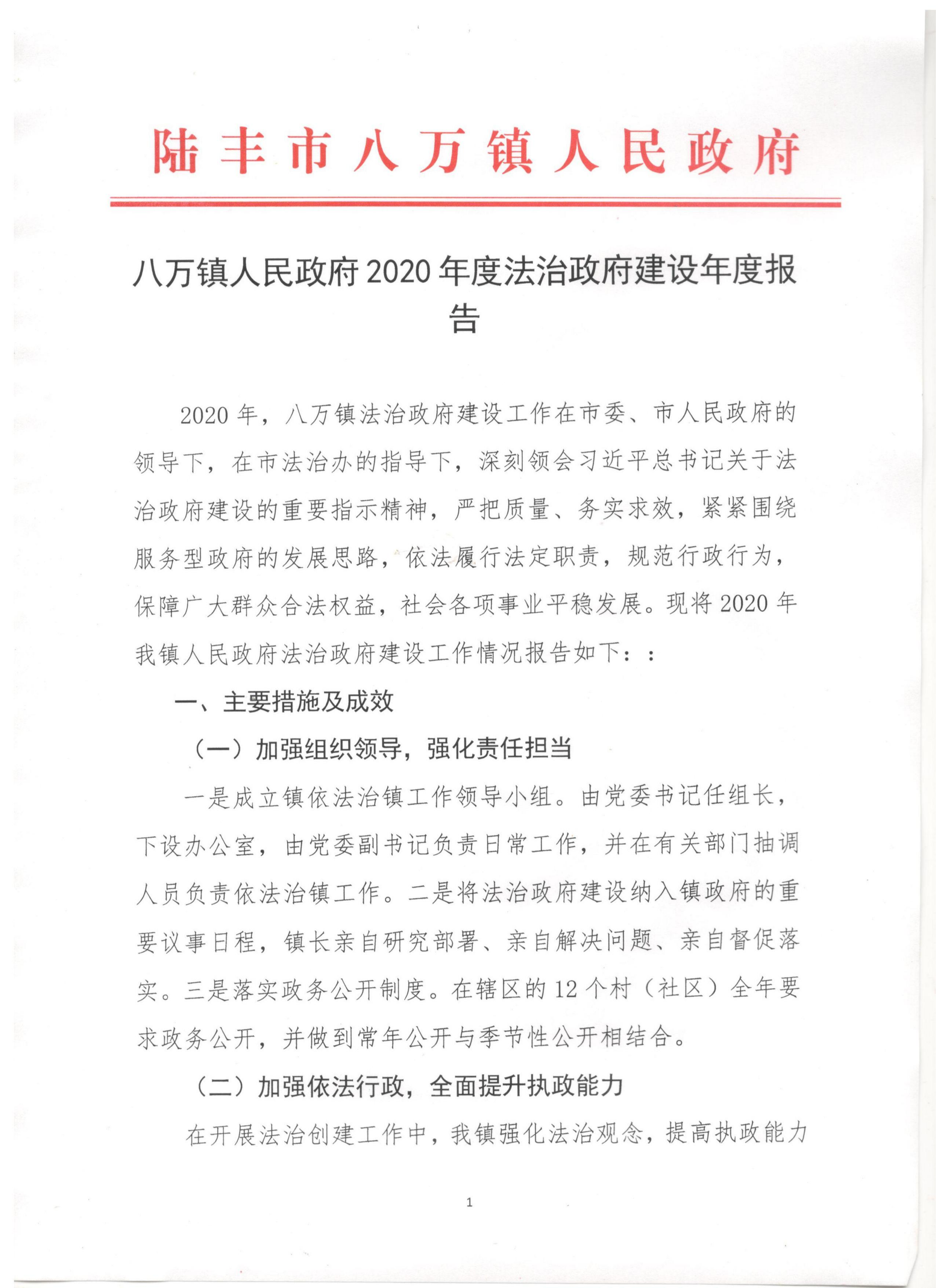 八萬鎮(zhèn)人民政府2020年度法治政府建設年度報告_00.png